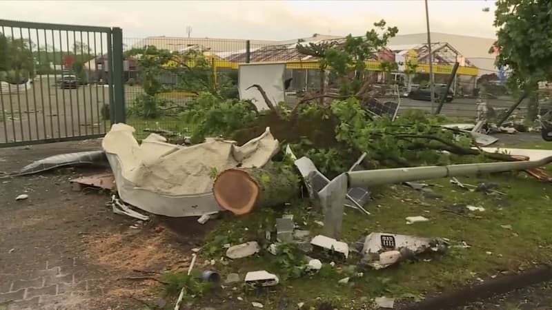 Allemagne: un mort et une quarantaine de blessés après le passage d'une tornade
