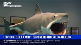 À Los Angeles, une exposition s'ouvre pour célébrer les 50 ans des "Dents de la mer"
