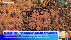 Dans Notre Histoire : les étapes de production du miel de Provence