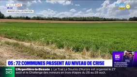 Hautes-Alpes: 72 communes passent au niveau de crise sécheresse