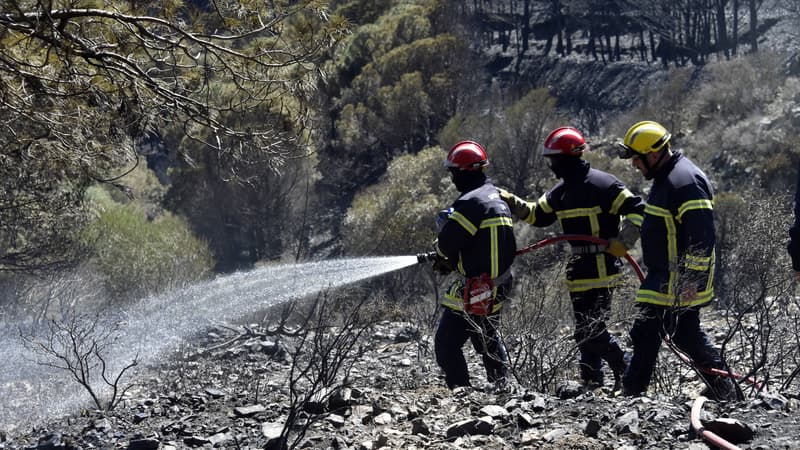 Feux de forêt: 200 engins supplémentaires pour lutter contre les incendies dans l'ouest de la France