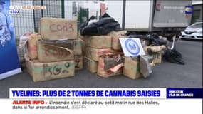 Yvelines: plus de deux tonnes de cannabis saisies à Flins-sur-Seine, Gérald Darmanin parle d'une saisie quasi "record"