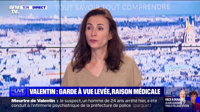 Valentin, poignardé à mort à Paris: le suspect placé en hôpital psychiatrique