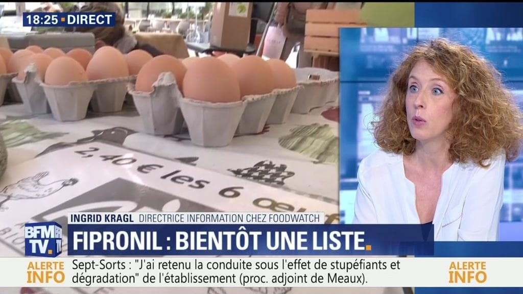 Oeufs Contaminés Au Fipronil Quels Risques Pour La Santé 