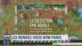 Sortir à Paris : La collection Emil Bührle au Musée Maillol