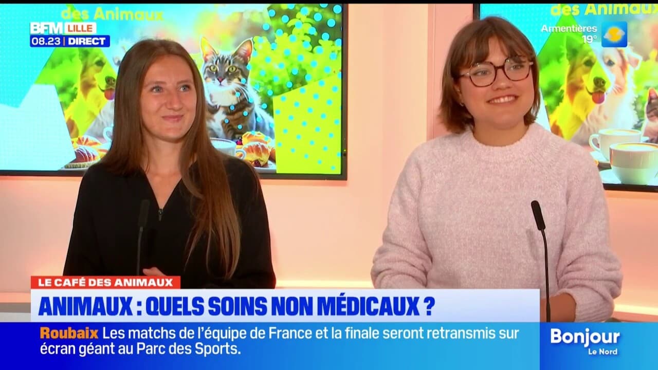 Le Café des Animaux: prendre soin de son chien autrement c'est possible