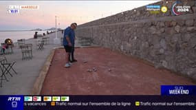 Dans les coulisses des apéros de la digue: pétanque, piste de danse... de multiples activités sont proposées