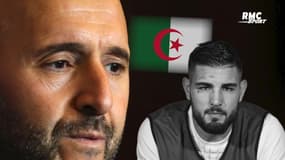 Algérie : "Comment donner tort à Belmadi ?", Riolo appuie les propos du sélectionneur des Fennecs sur Delort