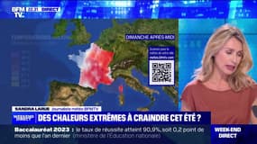 Canicule : quels gestes faut-il adopter ? - 08/07