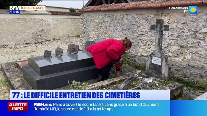 Seine-et-Marne: le difficile entretien des cimetières