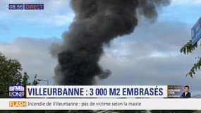 Un important incendie dans un entrepôt à Villeurbanne, une épaisse fumée noire visible dans le ciel