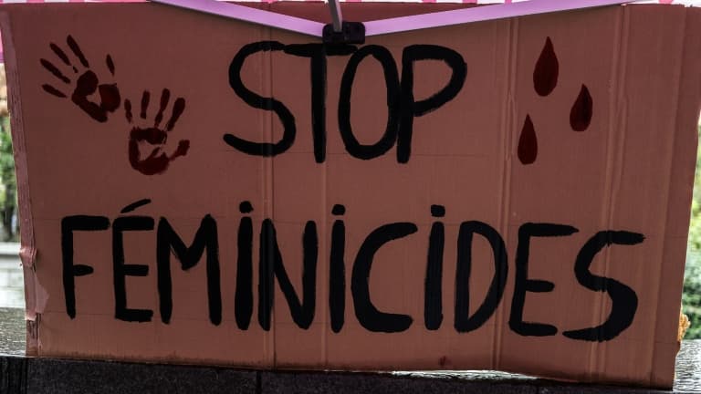 Une pancarte "Stop féminicides" lors d'une manifestation à Toulouse, le 4 novembre 2023