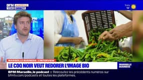 Marseille Business du mardi 2 avril - Le Coq Noir veut redorer l'image bio  