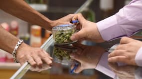 Le cannabis est autorisé pour un usage médical et récréatif dans 9 Etats américains. (Photo d'illustration)