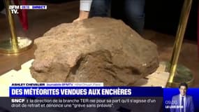Cette météorite est le clou de la vente aux enchères à l'Hôtel Drouot