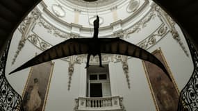 Une réplique de ptérosaure au Musée des sciences de la Terre de Rio de Janeiro en octobre 2016 (photo d'illustration)
