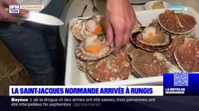 Les coquilles Saint-Jacques pêchées en Normandie sont arrivées au marché de Rungis