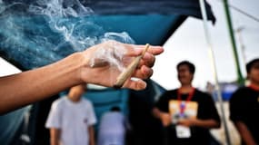 Le cannabis dépénalisé en Thaïlande 
