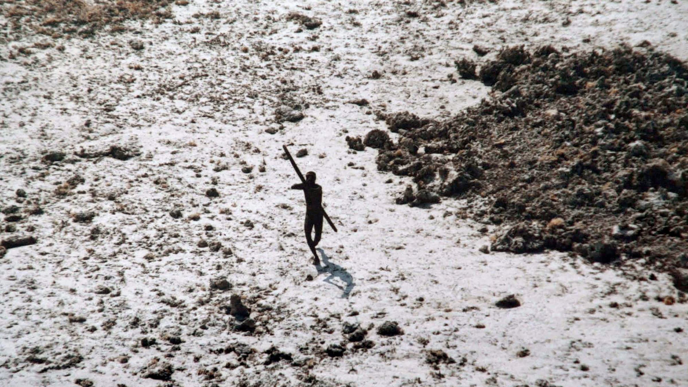 Who are the Sentinelese, a remote people on the Andaman Islands who reject all contact with civilization?