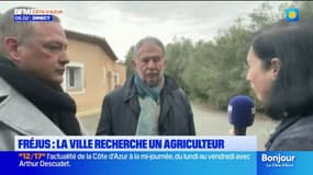 Un terrain de 4 hectares: la ville de Fréjus est à la recherche d'un agriculteur