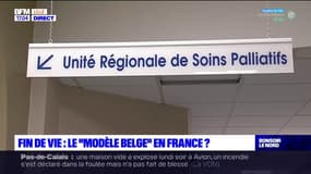 Fin de vie: le "modèle belge" en France? 