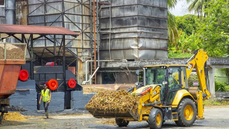 El Niño provoque une "sécheresse exceptionnelle" aux Antilles: les agriculteurs alertent sur une "situation catastrophique"