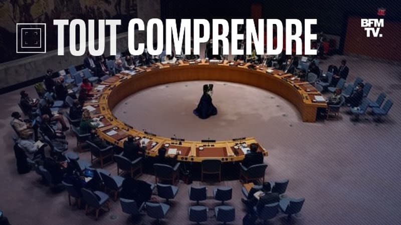 TOUT COMPRENDRE - Ukraine: la Russie peut-elle être exclue du Conseil de sécurité de l'ONU?