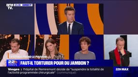 Faut-il torturer pour du jambon ? - 05/10