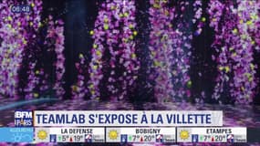 Sortir à Paris : TeamLab s'expose à la Villette