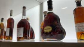 Cognac. Photo d'illustration