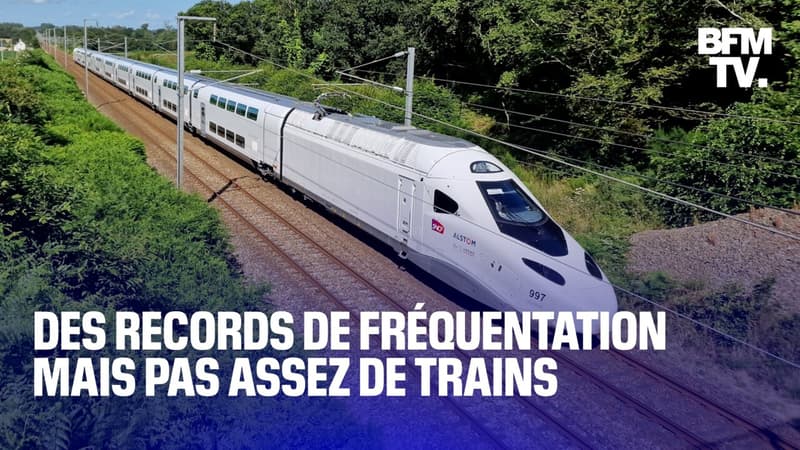 SNCF: pourquoi n'y a-t-il pas plus de trains pour mieux répondre à la demande?