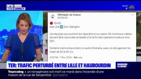 Ter: trafic perturbé entre Lille et Haubourdin