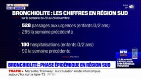 Provence-Alpes-Côté d'Azur: la région repasse en phase épidémique pour la bronchiolite