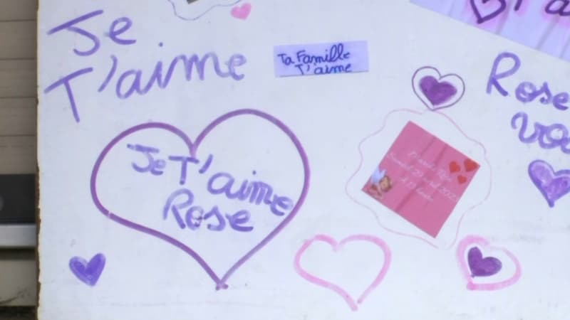 Meurtre de Rose dans les Vosges: les habitants de Rambervillers vont rendre hommage à la fillette ce samedi