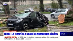 Tempête Ciaran: de nombreux dégâts recensés dans le Nord-Pas-de-Calais