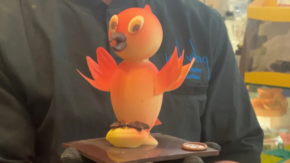 placeholder video