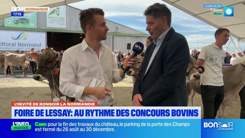 Foire de Lessay: des festivités au rythme des concours bovins