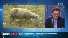 Comment le Parc du Mercantour va être un peu plus près des étoiles
