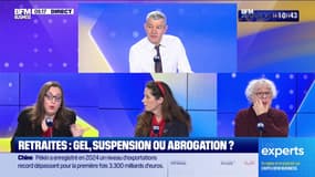 Les Experts : Retraites, gel, suspension ou abrogation ? - 13/01