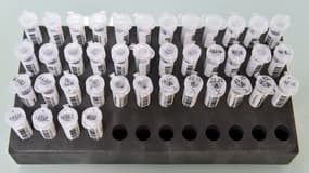 Des échantillons d'ADN à l'Institut génétique de Nantes-Atlantiques. (photo d'illustration)