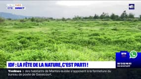 Île-de-France: début de la fête de la nature, pour découvrir le patrimine naturel de la région