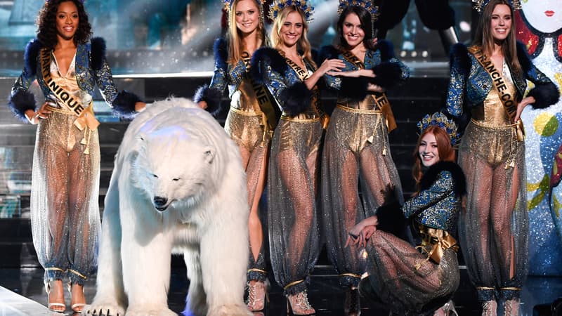 L'ours lors de l'élection de Miss France