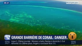 Quand des inondations menacent la Grande barrière de corail