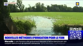 Sécheresse en Provence: de nouvelles méthodes d'irrigation pour le foin