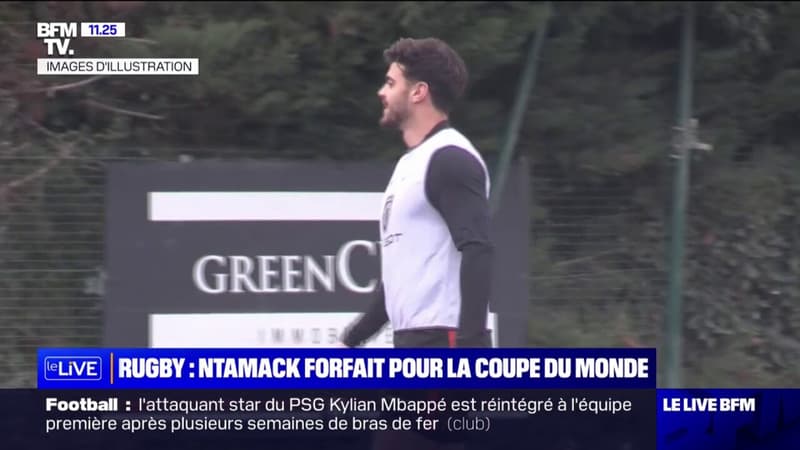 XV de France: blessé, Romain Ntamack est forfait pour la Coupe du monde de rugby