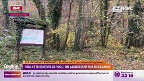 Viol et tentatives de viol sur des joggeuses: un adolescent de 14 ans mis en examen 