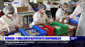 Boiron : 1 million d'autotests disponibles          