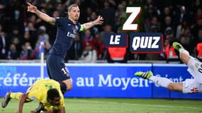 Les victimes d'Ibrahimovic en carrière