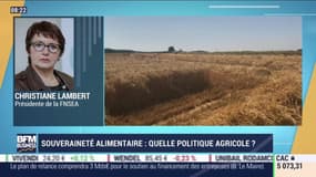 Christiane Lambert (FNSEA): L'appel au secours des agriculteurs face à la sécheresse - 13/08