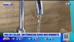 Un fongicide détecté dans une vingtaine de communes du Pas-de-Calais